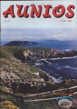 Nº 11 - 2006