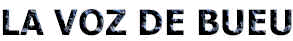 VozBue3.gif (6996 bytes)